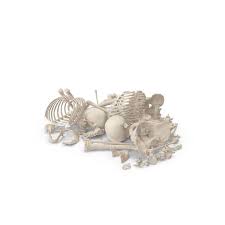 Skeleton Pile Of Bones Png Psd Images Bones Skeleton Elements