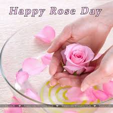 Rose day is celebrated on february 7 every year. Rose Day Happy Valentines Day Wishes For Friends Happy Valentines Day Greetings Happy Valentines Day Messages Happy Valentines Day Gifts Happy Valentines Day Wallpapers Valentines Day Sms