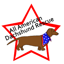 If a dachshund puppy is adopted, as cute as they are, expect to have have a few personal items chewed to pieces rescue dachshunds can be shy and timid when arriving in a new home. All American Dachshund Rescue