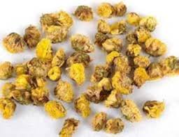 Image result for Chrysanthellum indicum