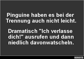 Pinguine Haben Es Bei Der Trennung Auch Nicht Leicht Lustige Bilder Spruche Witze Echt Lustig
