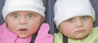 Schools, Businesses, Individuals Honored