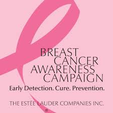 You can now donate your shopee coins to breast cancer foun. Basemenstamper Estee Lauder Companies Breast Cancer Campaign Beauty Box
