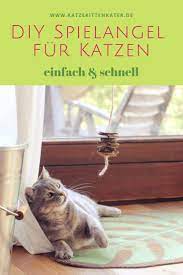 Erfahren sie hier, wie sie katzenspielzeug selber machen. Upcycling Spielzeug Fur Katzen Basteln Katzen Spielzeug Katzen Katzen Spielzeug Basteln