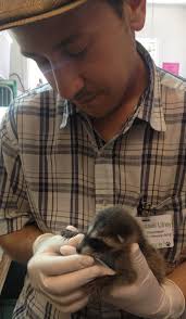 live well with wildlife