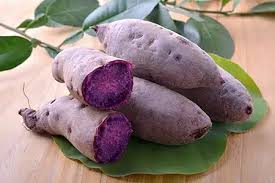 Image result for Dioscorea alata