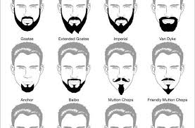 20 Different Style Beards For Men Haircut Names For Men Hairstyle Names Mens Hairstyles