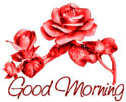Download Beautiful Good Morning In Nature Gif Png Gif Base Good Morning Roses Good Morning Flowers Gif Good Morning Rose Gif