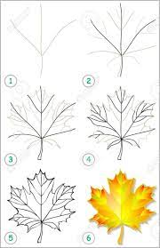 Page Shows How To Learn Step By Step To Draw A Maple Leaf Developing Leaf Drawing Flower Drawing Tree Drawing