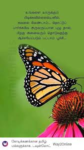 Pin By Lavanya On A Tamil Quotes In 2020 Quotes