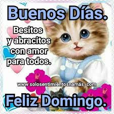 Buenos Dias Besitos Y Abracitos Con Amor Para Todos Feliz Domingo Frases Buenos Dias Feliz Domingo Feliz Domingo
