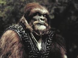 Leo davidson s'ennuie dans son laboratoire de l'espace. La Planete Des Singes Planete Des Singes Singe
