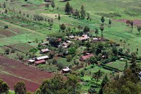 Kedong ranch house is surrounded by wildlife and livestock alike. Cheap Geothermal Power Key To Local Economic Investment In Naivasha Kenya Thinkgeoenergy Geothermal Energy News