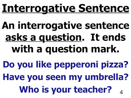 16 contoh kalimat possessive pronoun. Pengertian Dan Contoh Interrogative Sentence Bahasa Inggris