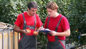 Career In Horticulture Scope Jobs Courses Salary