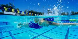 Maybe you would like to learn more about one of these? The Best Orlando Swimming Pools Marriott Bonvoy Traveler