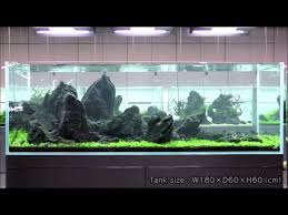 Takashi amano (天野尚, amano takashi) is a photographer, designer and aquarist. Takashi Amano Beautiful Iwagumi Style Aquascape Youtube Aquarium Fish Tank Aquascape Fish Tank