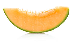 Cantaloupe Slice Png Free Cantaloupe Slice Png Transparent Images 100365 Pngio Available in png and svg formats. pngio com