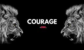 The official street fighter page. 100 Inspiring Courage Quotes To Help You Unleash Your Inner Lion