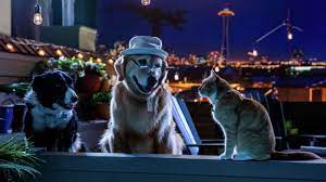 Ver Como Perros Y Gatos 3 2020 Online Cuevana 3 Peliculas Online