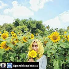 Kultivar yang dibuat hanya untuk satu kegunaan tertentu sa. 5 Wisata Baru Di Kediri Buruan Main Ke Sini