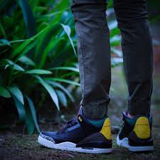 Air Jordan 3 Animal Instinct 2 0 In 2020 Air Jordans Air Jordans Retro Air Jordan 3
