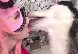 French kiss dog porn