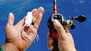 — a florida resident certified as totally and permanently disabled, who possesses a florida resident disabled person hunting and fishing certificate. Saltwater Bass Tackle Fishing Challenge Youtube