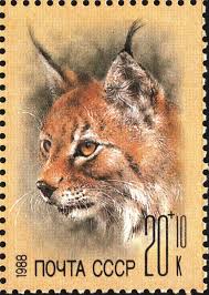 Copyrights © 2012 lynx auto. Eurasian Lynx Wikiwand