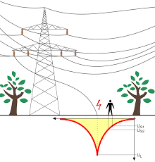 What are the pros and cons of living in the town and in the village? Stray Voltage Wikipedia