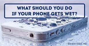 He has not lungs, nor throat, still, a mighty roaring call. What Should You Do If Your Phone Gets Wet