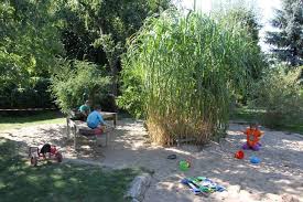 Pin Auf Gartenlust