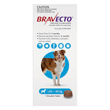 All four of my dogs vomited within 36 hours of taking it. Buy Bravecto Chew Large Dogs 20 40kg The Vet Shed
