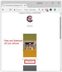 The website does not have a download button per se. How To Watch Someone S Instagram Story Without Them Knowing Mashnol