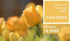 2009 Jaune Mimosa Color Of The Year Pantone Pantone Color