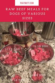 two diy raw dog food recipes