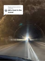 Image result for karp ln  tunel ort za