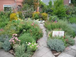 Portfolio Melissa Bees Medicinal Herbs Garden Herb Garden Design Herb Garden