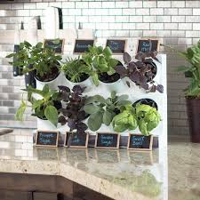 Hanging kitchen herb garden in mason jars with command hooks. 17 Indoor Herb Garden Ideas 2021 Kitchen Herb Planters We Love