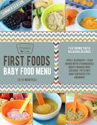 Homemade baby food recipes for 9 month old babies. 16 Baby Food Recipes For 9 Month Old