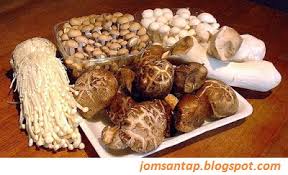 Maybe you would like to learn more about one of these? Khasiat Cendawan Untuk Kesihatan Aneka Resepi Timur Dan Barat