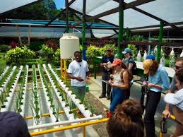 Costa Rica Update Earth University Sustainable Summer