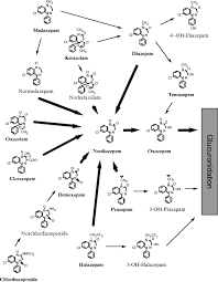 Image result for Halazepam