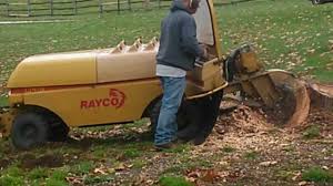 Stump Grinding with RG 90 RAYCO PART 1 OF 2