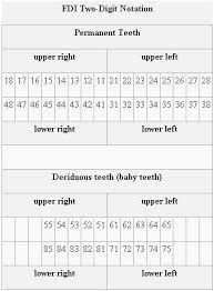 79 Uncommon Lower Right Wisdom Tooth Number