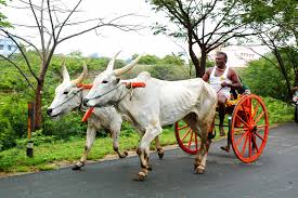 Maybe you would like to learn more about one of these? Yaris Definisi Yaris Dalam Kamus Turki