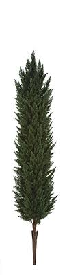 Polyblend Outdoor Cypress Tree Shrubs