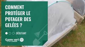 Comparer 271 offres voile d'hivernage réparties dans 15 catégories telles que bac a fleur et jardiniere, bache, voile, film, serre, equipement de jardinage divers et jeu de jardinage. Tuto Comment Proteger Votre Potager Des Gelees Jardinerie Gamm Vert Youtube