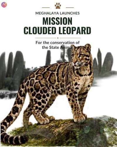 International Clouded Leopard Day 2026