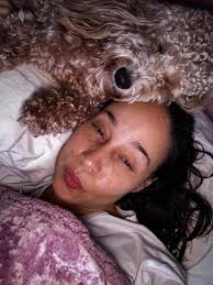 Do other Goldendoodles watch TV obsessively?